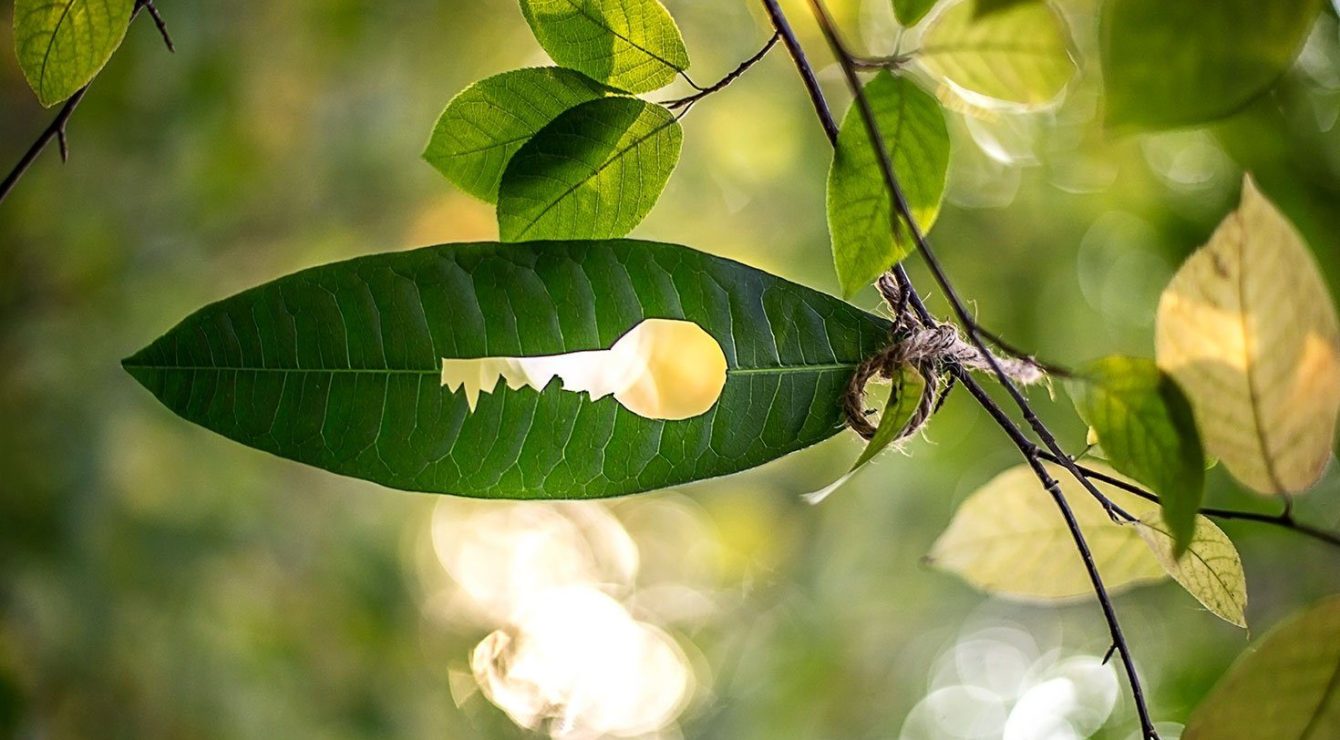 CIB-AXA-steps-up-sustainability-strategy-with-new-framework-and-subdebt