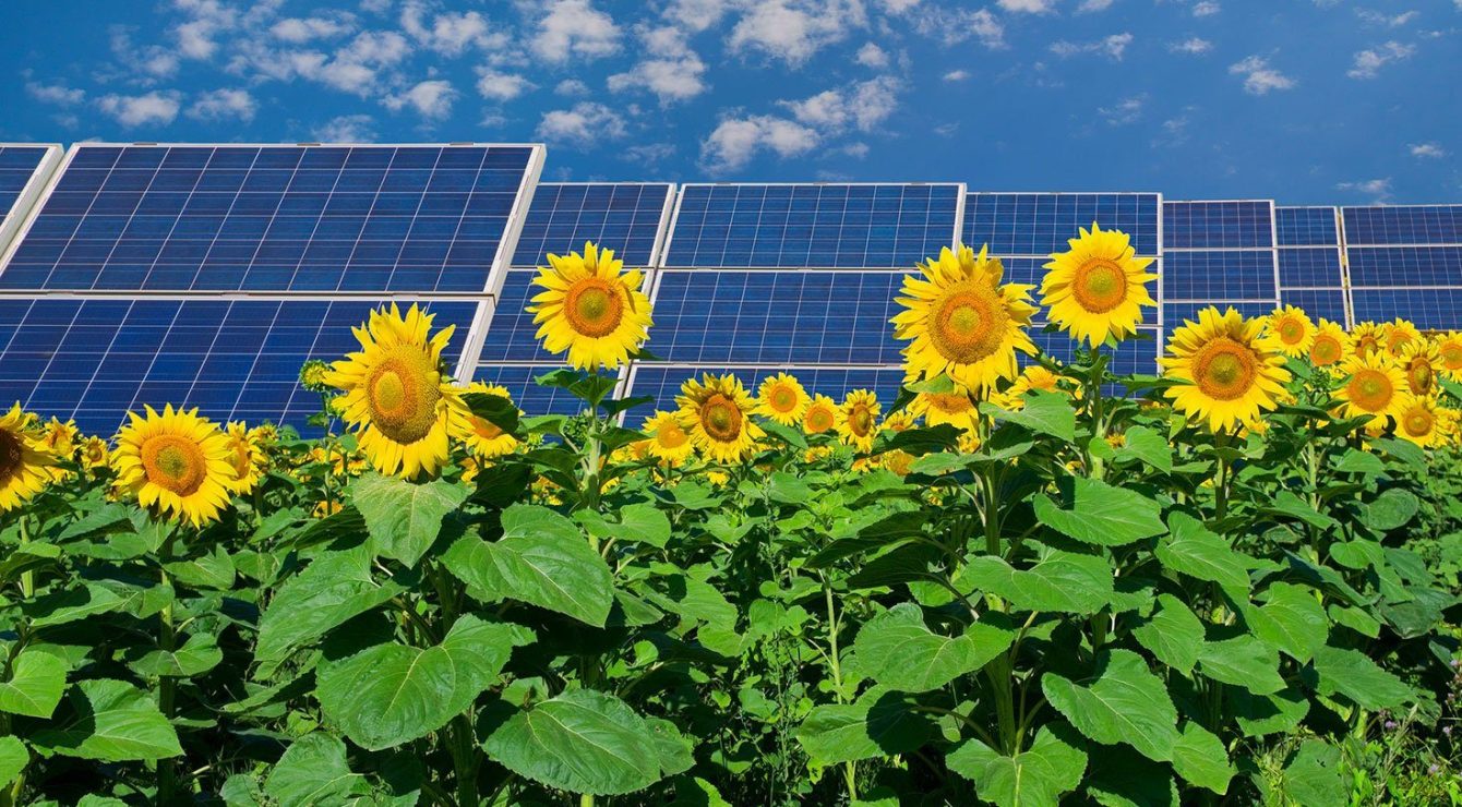 CIB-Enel-innovates-with-Sustainable-Trade-Finance-arrangements