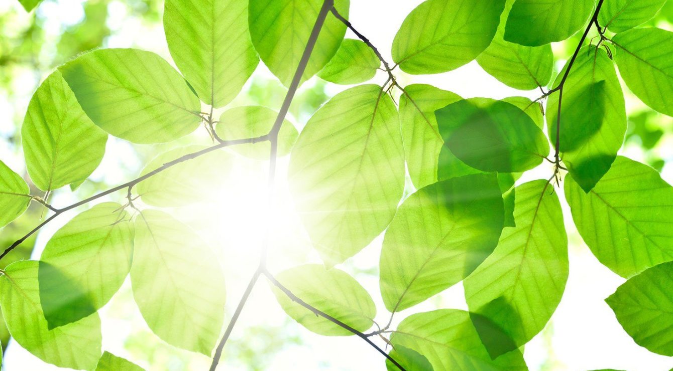 CIB-Environmental-Finance-recognises-BNP-Paribas-for-sustainable-bonds-and-loans