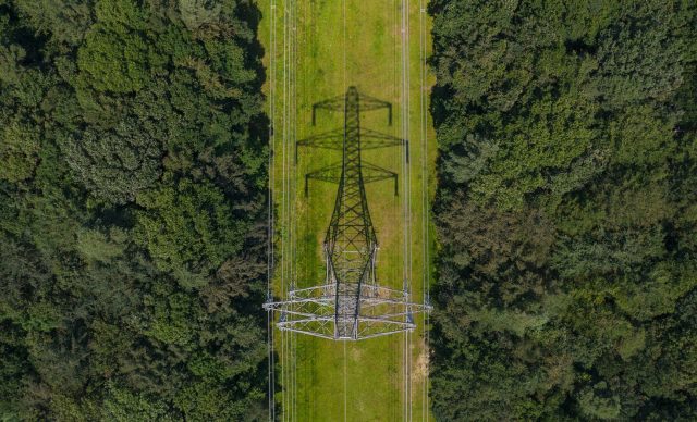 Electricity pylon at the centre of two forests