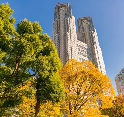 Autumn leaves trees in front of Tokyo buildings