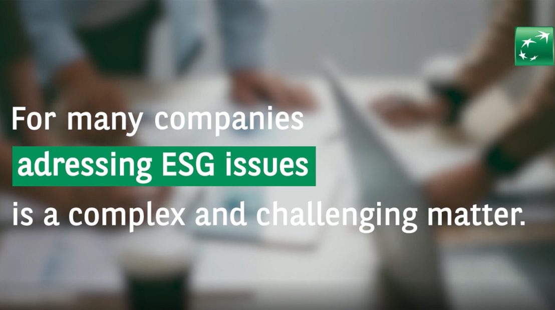 ESG survey video
