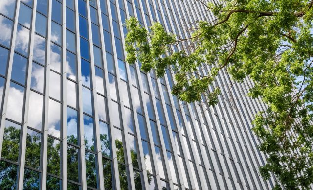 Tree reflected upon modern office building