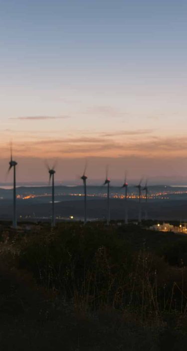 Middle Eastern Businessman in wind turbine farm at sunset