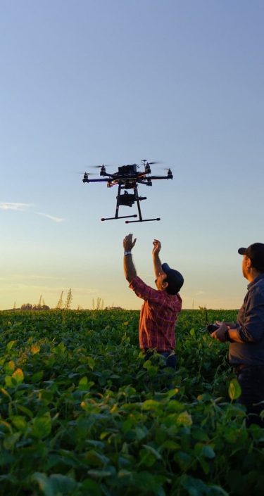 Drone in soybean crop