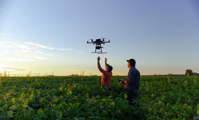 Drone in soybean crop