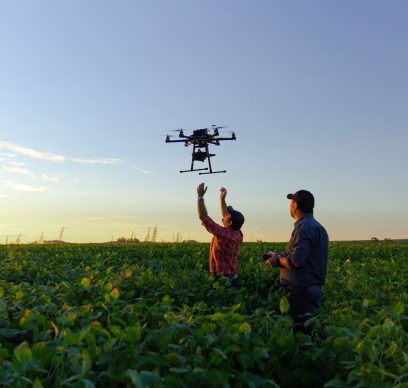 Drone in soybean crop