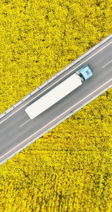 Overhead view of a semi truck driving between canola fields