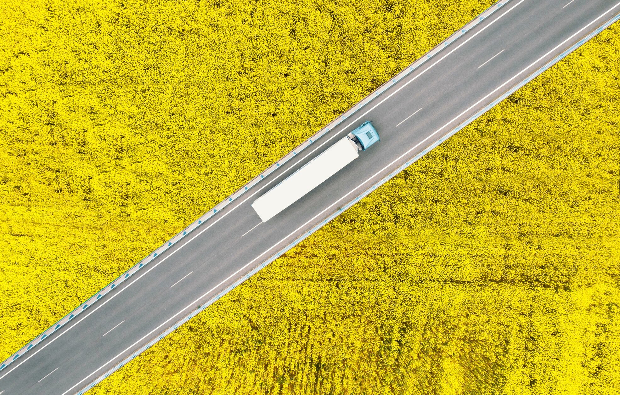 Overhead view of a semi truck driving between canola fields