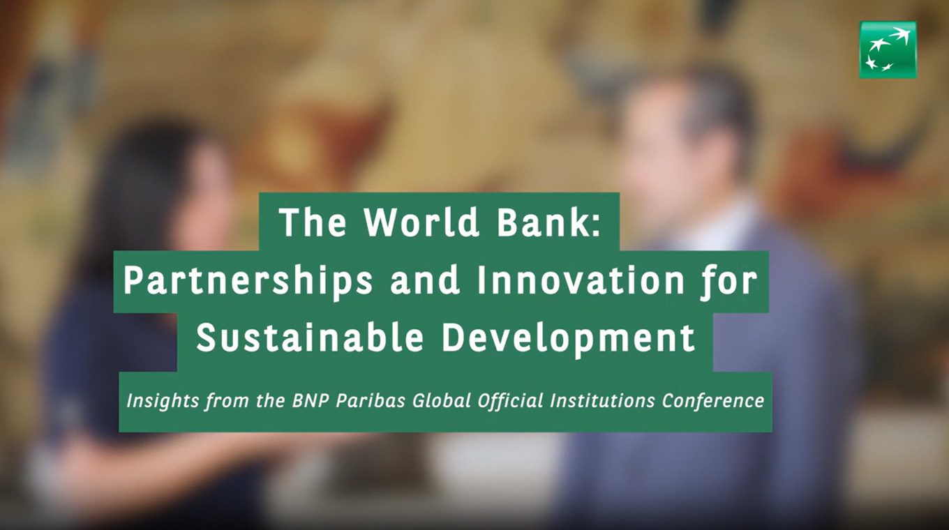 The World Bank: Partnerships and Innovation for Sustainable Development