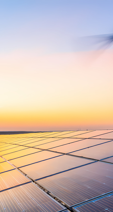 Solar panels and wind turbines at sunset